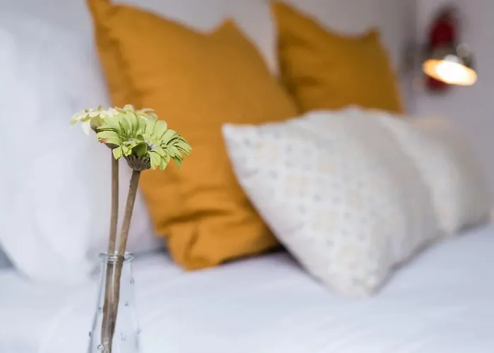 Papa\'S Cedofeita Studio Apartments